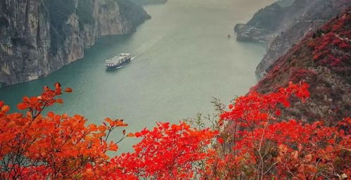 全国64家旅行社 商 齐聚奉节携手打好 三峡牌