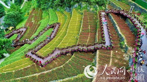 奉节 旱夔门景区7月起对外开放 体验三峡原乡
