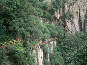 这两个绝色景区,一个河南第一高峰一个袖珍三峡,都有个 鸟 名