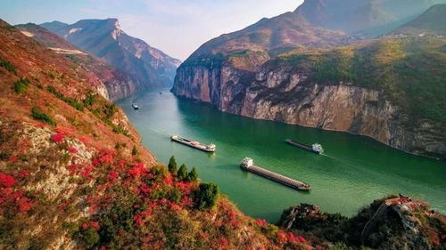长江三峡游轮,为什么特别适合老人乘坐去旅行,理由有这么六个