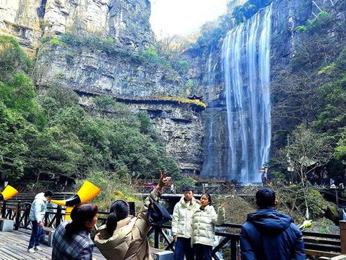 夷陵区2024春节文化旅游市场运行情况