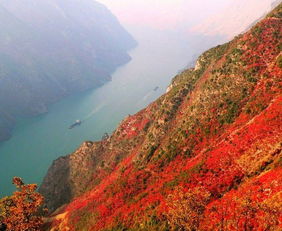 看三峡红叶,重庆三峡旅游攻略