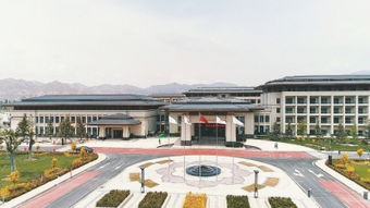 以高质量党建激发高质量发展的澎湃动力