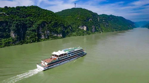 告别阴霾 浴火涅槃 三峡旅游董事长殷俊谈旅游业复苏
