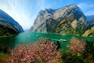 早鸟预售 宜昌至重庆长江三峡5日游，新世纪系列游船体验，纯玩一日游及24小时免费接送